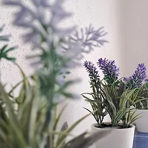 https://la-tappa-del-vignaiolo-home.in-sardinia.net